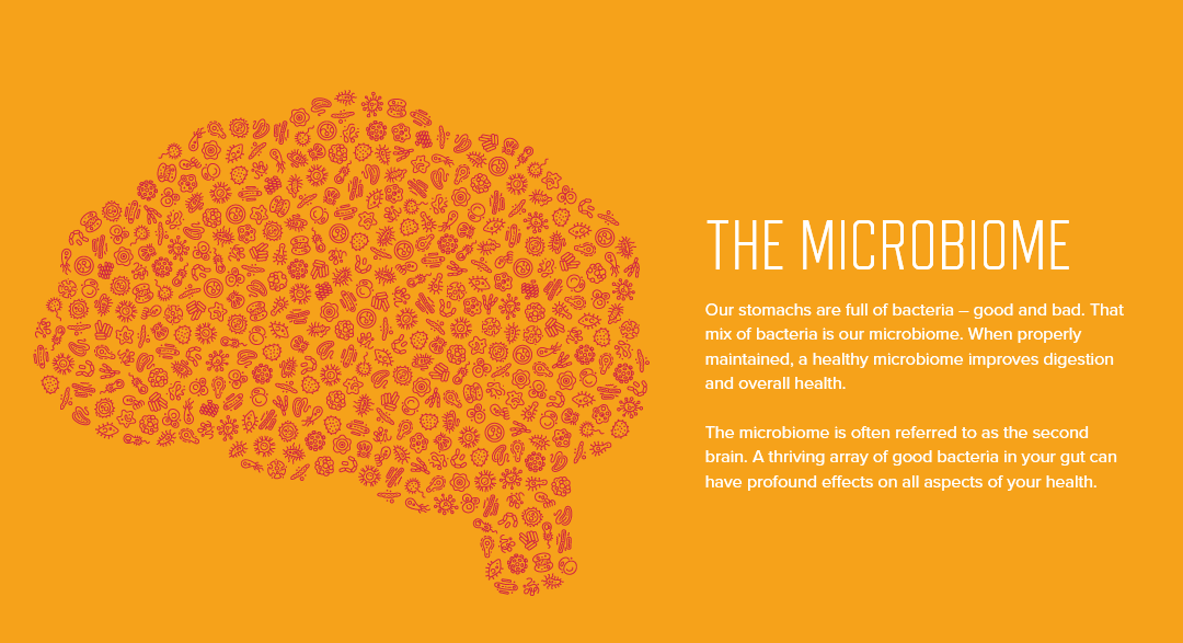 Infografik Mikrobiom